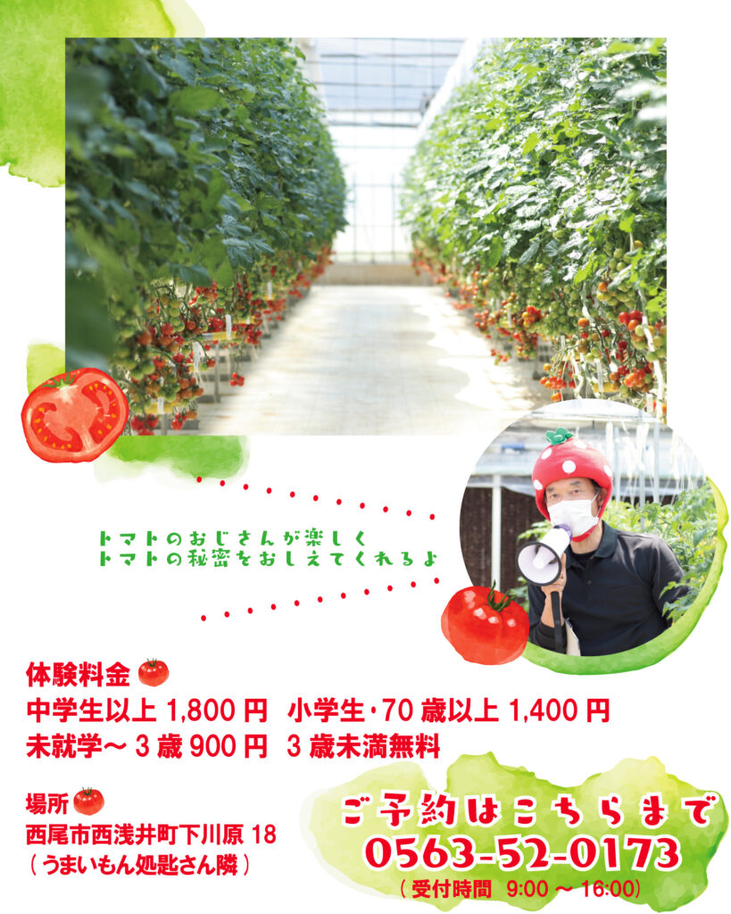 フルーツトマト狩りを開催します Kingfarm